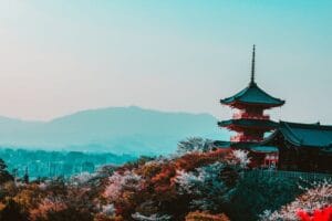 Notre top des 5 romans policier japonais