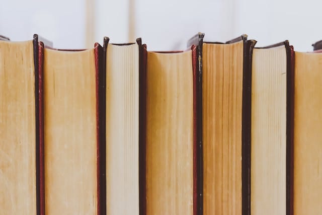 livres de olivier norek à lire